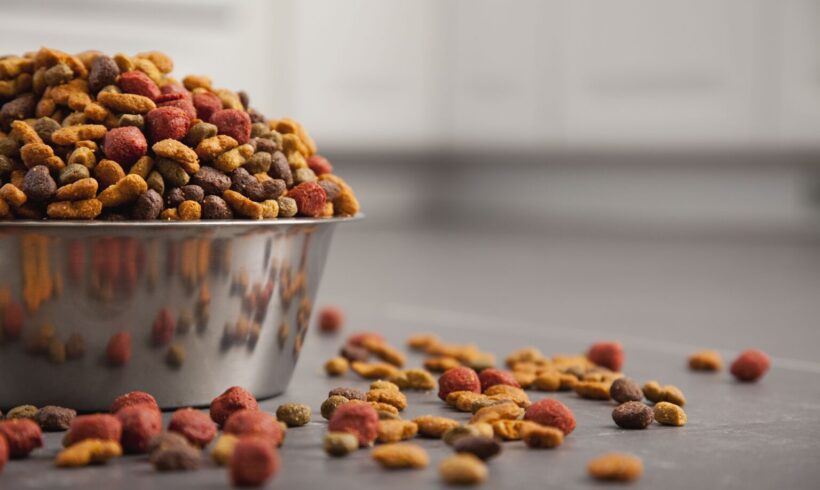 Transitioning your Pets Food